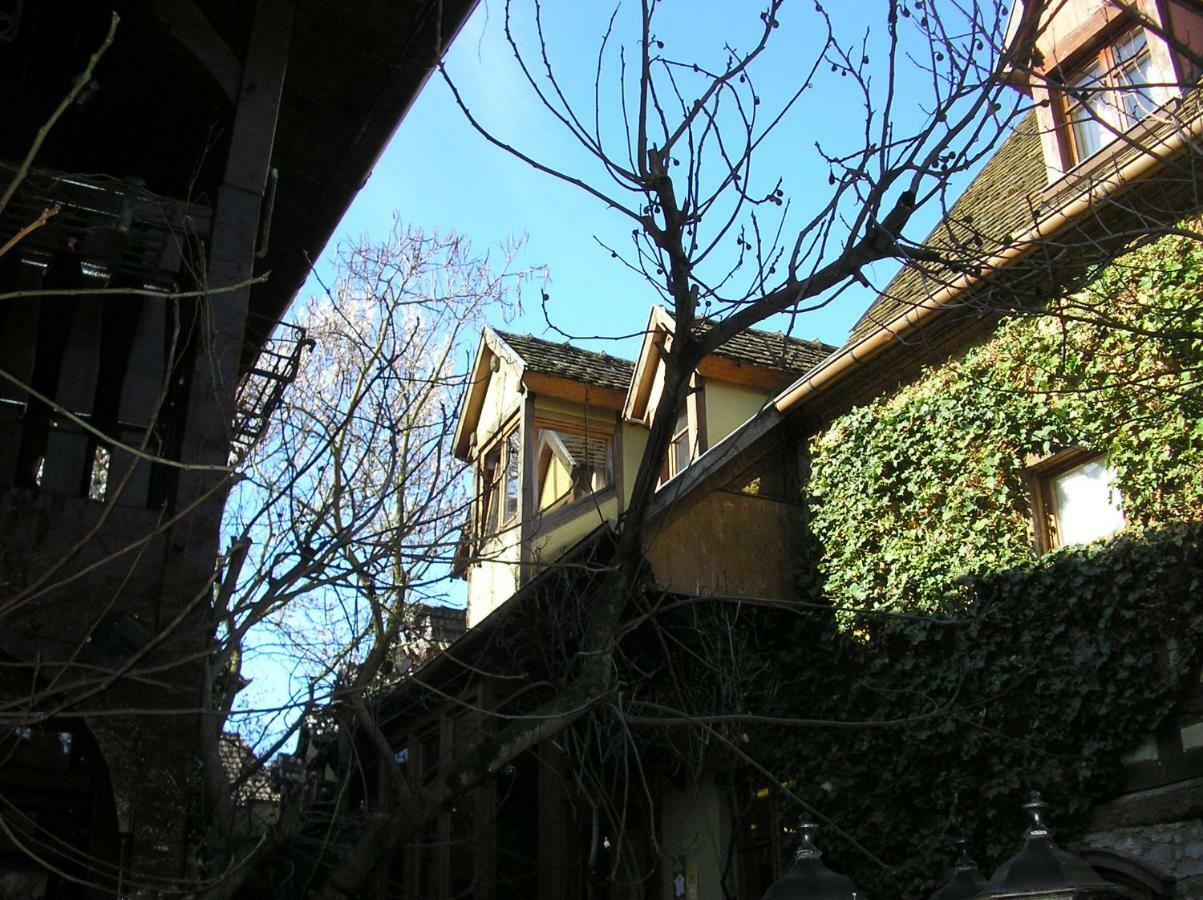 Gite Le Riesling Бергхейм Экстерьер фото